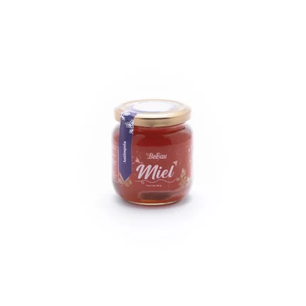 MIEL DE ABEJAS - ORÍGEN ANTIOQUIA - 280GR